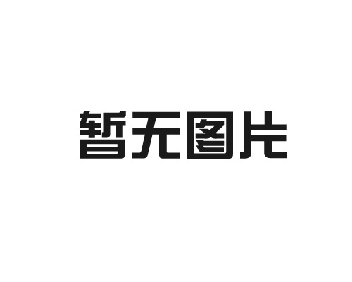 智能流量測(cè)控儀